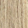 Патика