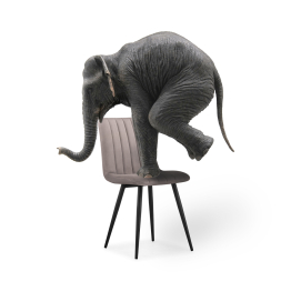 Стул на металлокаркасе Дани