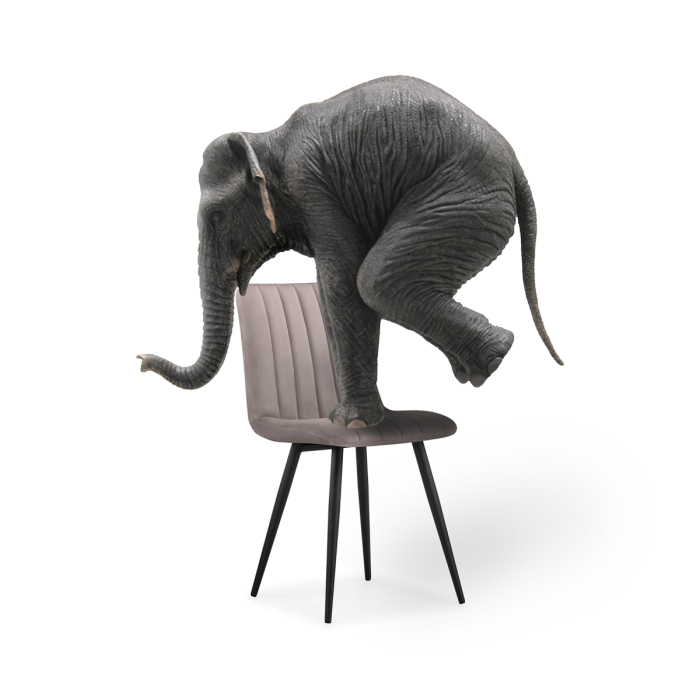 Стулья, Стул на металлокаркасе Дани