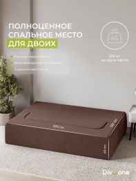 Бескаркасный диван-кровать Дадли 2000*1050мм., велюр