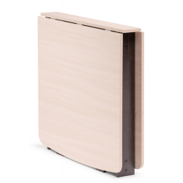 Стол-книжка СтК4