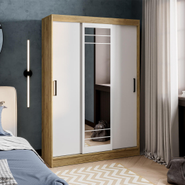 Шкаф-купе Тео ШКК-02