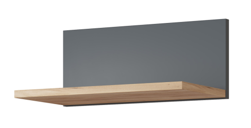 Полка Эмилия ЭЛ-9