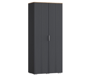 Шкаф распашной Ингрия 6