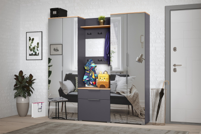 Шкаф для одежды Октава 13.338