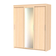 Шкафы-купе 3-х дверные, Шкаф-купе шк-21 с зеркалом